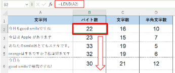 セル内の全角文字をカウントする